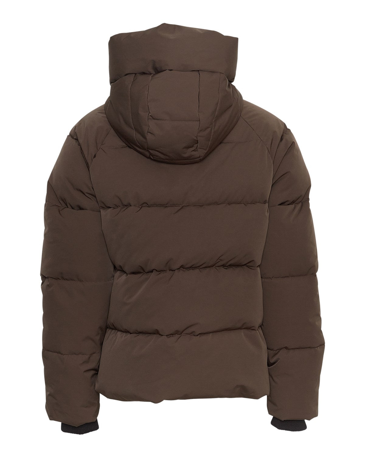 Jacke Pavinaria